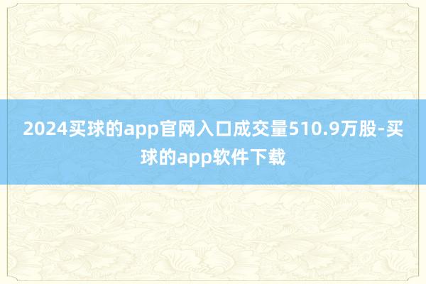 2024买球的app官网入口成交量510.9万股-买球的app软件下载