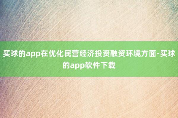 买球的app在优化民营经济投资融资环境方面-买球的app软件下载