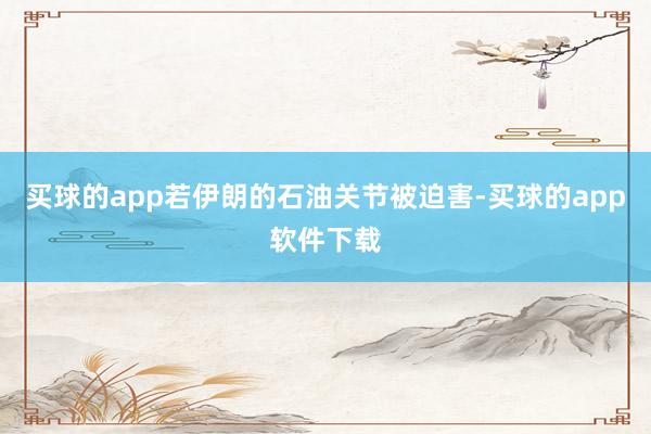 买球的app若伊朗的石油关节被迫害-买球的app软件下载