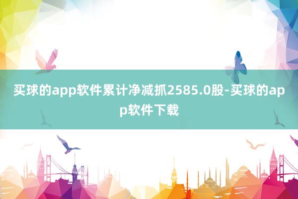 买球的app软件累计净减抓2585.0股-买球的app软件下载