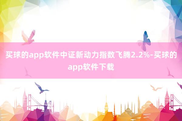 买球的app软件中证新动力指数飞腾2.2%-买球的app软件下载