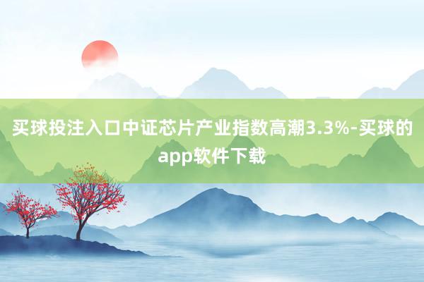 买球投注入口中证芯片产业指数高潮3.3%-买球的app软件下载