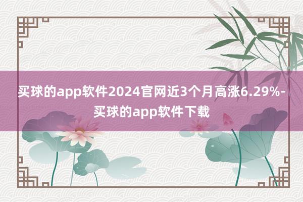 买球的app软件2024官网近3个月高涨6.29%-买球的app软件下载