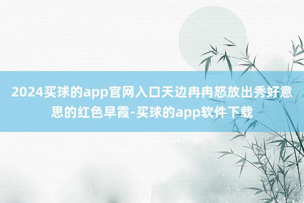 2024买球的app官网入口天边冉冉怒放出秀好意思的红色早霞-买球的app软件下载