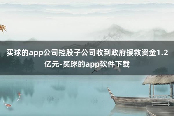 买球的app公司控股子公司收到政府援救资金1.2亿元-买球的app软件下载