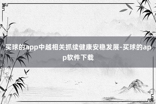 买球的app中越相关抓续健康安稳发展-买球的app软件下载