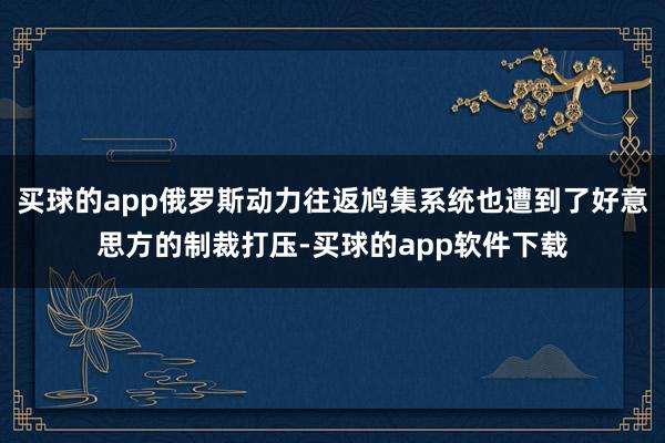 买球的app俄罗斯动力往返鸠集系统也遭到了好意思方的制裁打压-买球的app软件下载